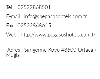Pegasos Palace Hotel iletiim bilgileri